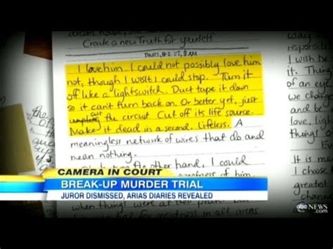 Jodi Arias Journal Entry Shows Strong Motive To Kill Travis Alexander