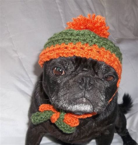 Pet Accessories Dog Hat Crochet Dog Hats Halloween Hat Etsy Crochet