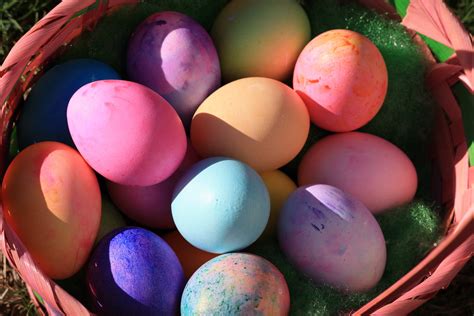 무료 이미지 잔디 식품 봄 색깔 휴일 정원 바구니 계란 그림 물감 배경 벽지 행사 관습 전통 여러 가지 빛깔의 부활절 달걀 다채로운 달걀