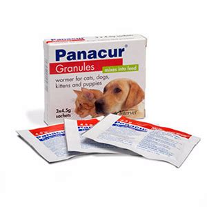 It is recommended that fenbendazole be given once a day for several consecutive days. Panacur Worming Granules for Cats, Kittens, Dogs & Puppies ...