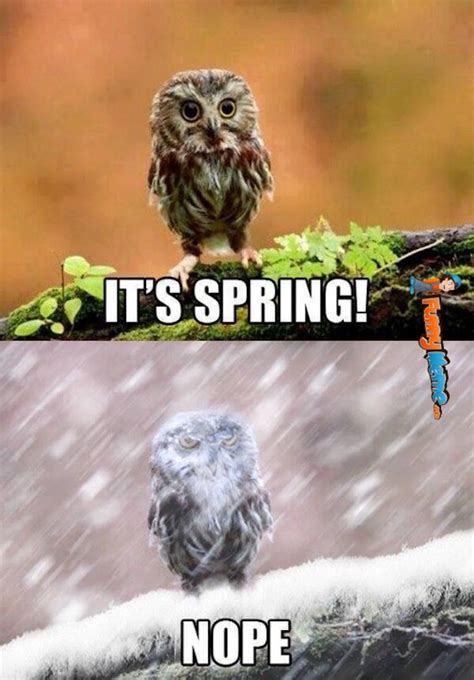 15 Funny Spring Memes To Get You Through These Chilly Spring Days