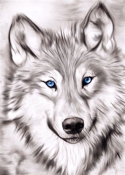Dibujo De Lobo Para Ideas De Tatto Dog Ideas Wolves Dibujos De