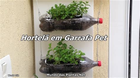 Horta Vertical em Garrafas Pet Hortelã YouTube