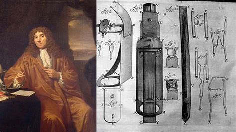 Anton Van Leeuwenhoek Discovery