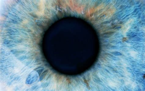 Pupil Size Is A Marker Of Intelligence Scientific American
