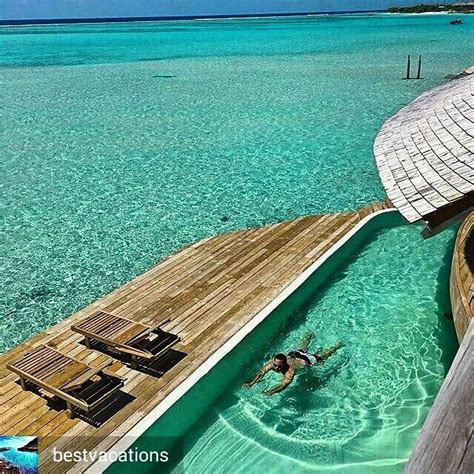 Regrann From Bestvacations Tag Who You D Swim With The Maldives