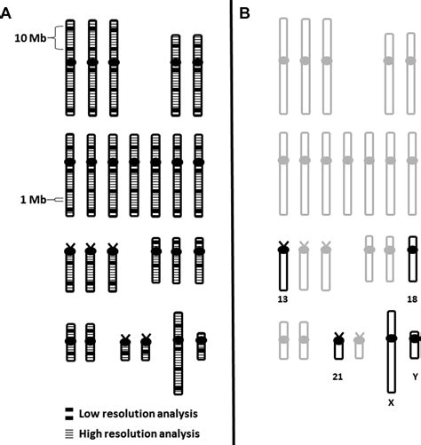 Copy Number Variants Aneuploidies And Human Disease Clinics In