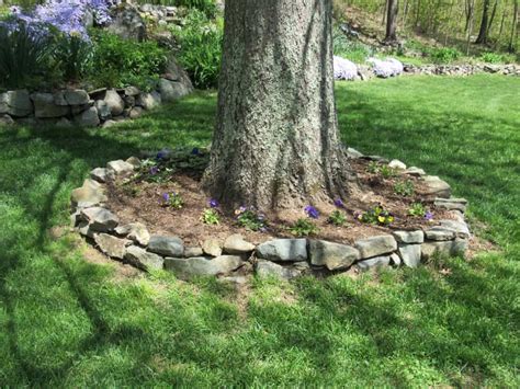 How To Landscape Around Trees Easily Without Ruin Them