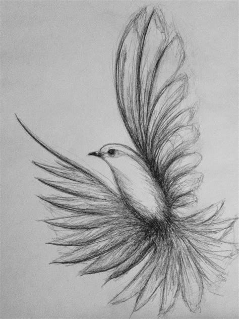 Easy beginner pencil sketch photos simple pencil art images for. 85 Simple And Easy Pencil Drawings Of Animals For Every ...
