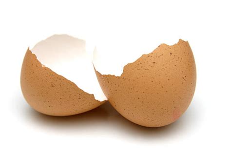 Best Open Egg Stock Photos Pictures And Royalty Free Images Istock