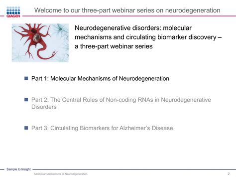 Molecular Mechanisms Of Neurodegeneration Neurodegenerative Disorde