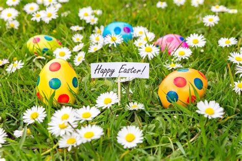 Painted Easter Eggs In Grass With Flowering Daisies Stock Image Image