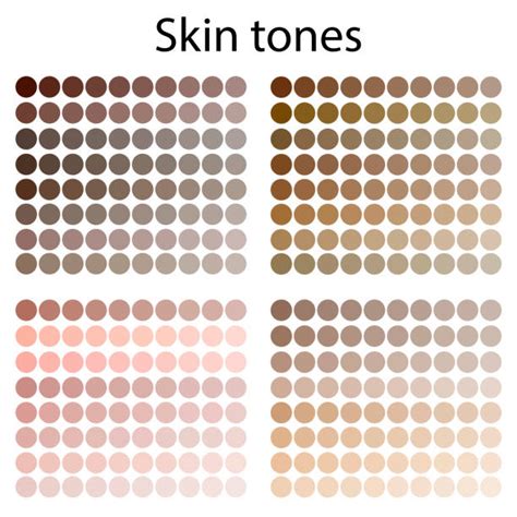 Skin Tone Chart Stock Photos Pictures And Royalty Free Images Istock