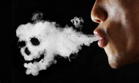 3 Organ Tubuh Berdampak Rusak Akibat Merokok Yang Perlu Diketahui