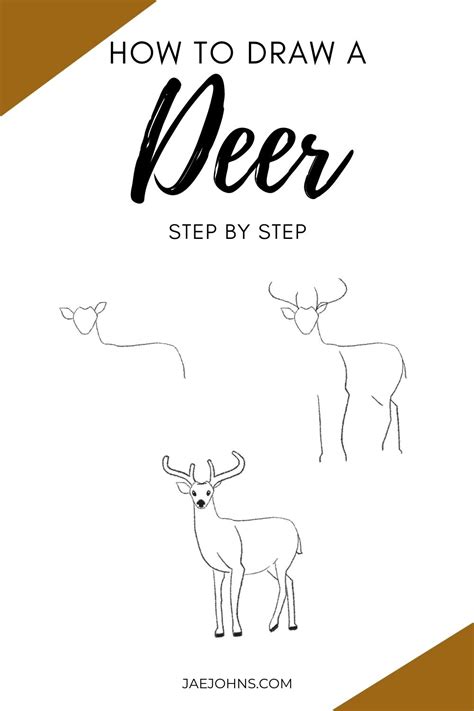 How To Draw A Deer Easy Step By Step With Pictures Jae Johns