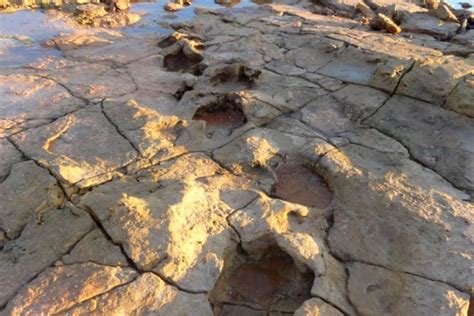 Hands Off Country World S Largest Dinosaur Footprint Found In Area For