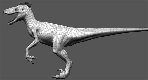 Velociraptor 1 3d Model
