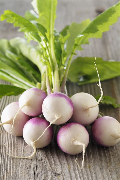 Here Are Some Helpful Tips On How To Grow Turnips