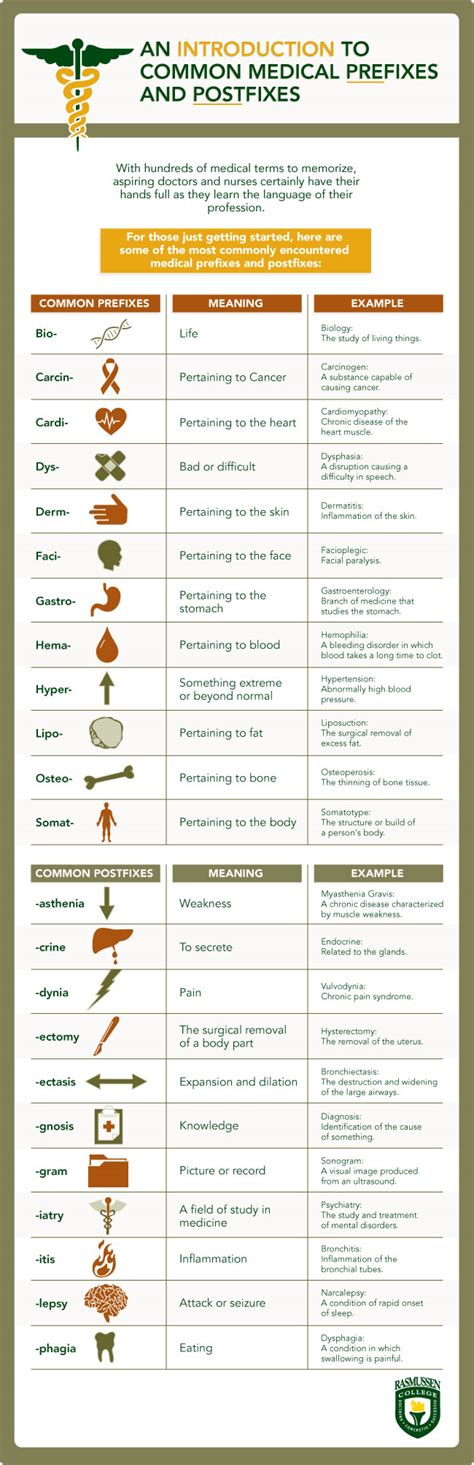 Medical abbreviations explanation in hindi and english both important topic for exam. Chart Outlines Common Medical Terminology with Pre and ...