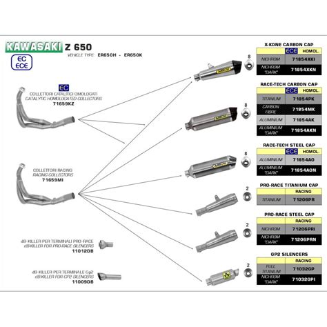 Silencieux Racing Pro Race Arrow Pri Nichrom Pour Kawasaki Z Et