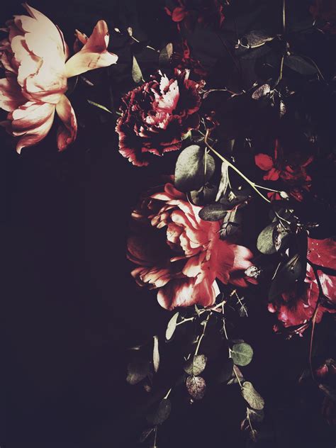 Dark Flower Aesthetic Wallpapers Top Free Dark Flower Aesthetic