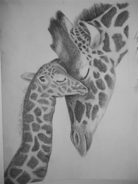 Giraffe And Baby Pencil Drawing Michelles Drawings Pinterest