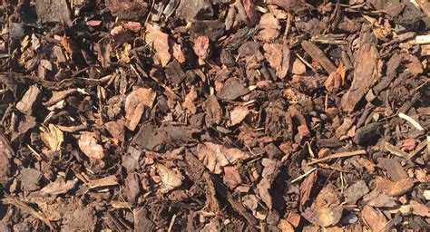 Ornamental Bark Top Quality Bark Chippings Ashville Aggregates