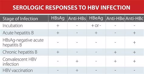 The Abcs Of Hepatitis Know And Fight The Viral Disease Mindray