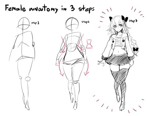 Female Anatomy In 3 Steps How To Draw An Owl Know Your Meme Drawing Female Body Human