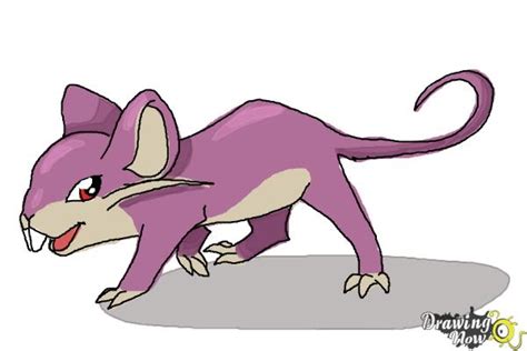 How To Draw An Anime Rat Drawingnow