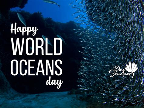 Ocean Day Our 7 Favorite Ocean Quotes For World Ocean Day Ocean
