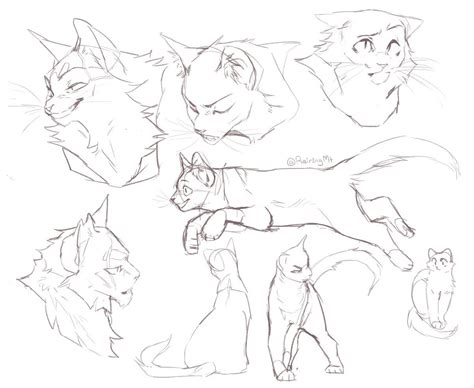 Pin By Hayley On Cats Warrior Cat Drawings Warrior Cats Art Cats