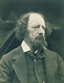 The History Blog » Blog Archive » Hear Nightingale, Tennyson & Light ...