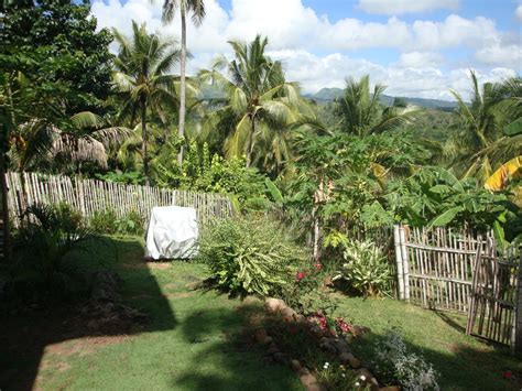 Native House On Overlooking Lot For Sale Philx Pat Real Estate