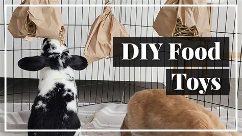 5 Easy Diy Food Toys For Rabbits Youtube