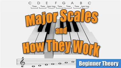 You can use these basic major and minor scale forms for any key. The Major Scale - Beginner Music Theory Lesson - Guitar ...