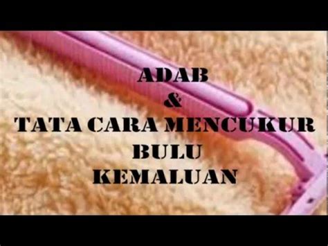 Tips tambahan dan peringatan terkait mencukur bulu kemaluan. Cara Mencukur bulu Kemaluan - YouTube