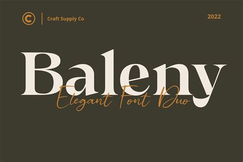 Baleny Elegant Font Dafont Free