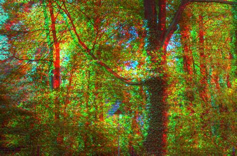 Ivy 3d Stereo Hdr Anaglyph Redcyan Glasses Require Flickr