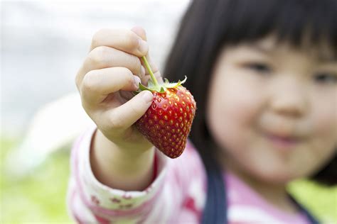 Best Strawberry Picking in NJ for Kids and Families