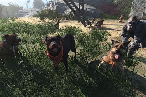 Craftable Dogs And Other Animals At Fallout 4 Nexus Mods And Community