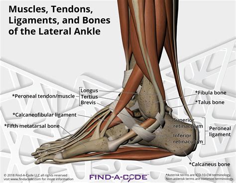 Orthopedics Articles And Resources
