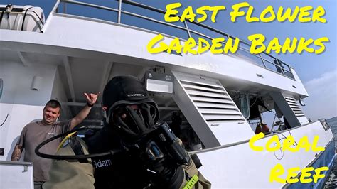 Scuba Diving East Flower Garden Banks May 2023 Youtube