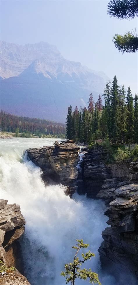 Athabasca Falls In Jasper National Park Canada 1960x4032 Oc