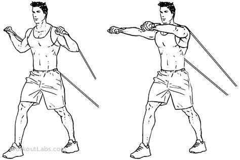 Resistance Band Chest Press Workoutlabs