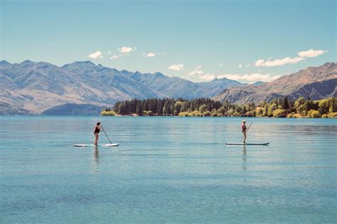 The Truth About The Wanaka Tree What You Need To Know Before Visiting