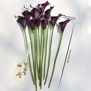 Fiveseasonstuff Stems Real Touch Dark Purple Calla Lilies Artificial