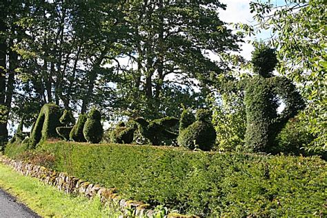 Topiary Hedge © Anne Burgess Cc By Sa20 Geograph Britain And Ireland