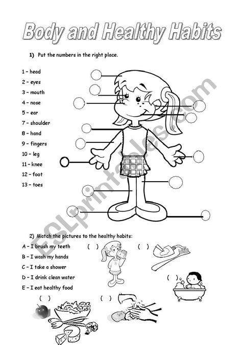 Human life cycle human body parts. body parts and healthy habits - ESL worksheet by noemi28