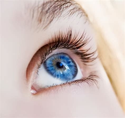 Las Personas De Ojos Azules Tienen Un Antepasado Común Luz Arcoiris